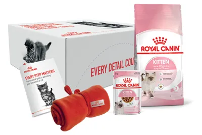 kitten welcome box v2
