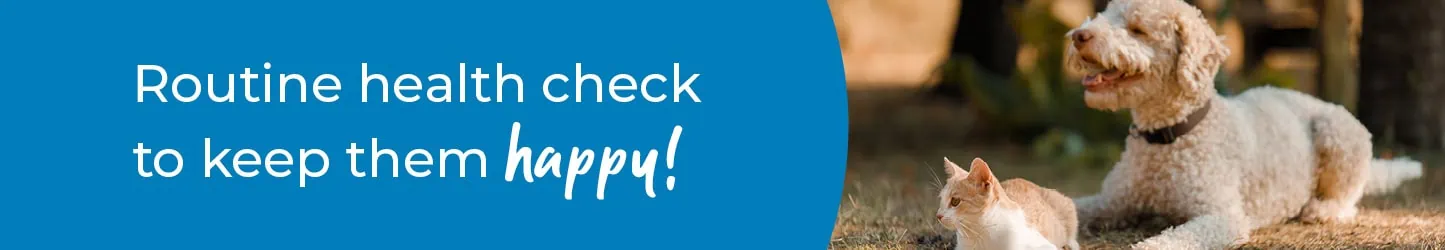 Annual Health Checks | Pet Health | Maven Vets