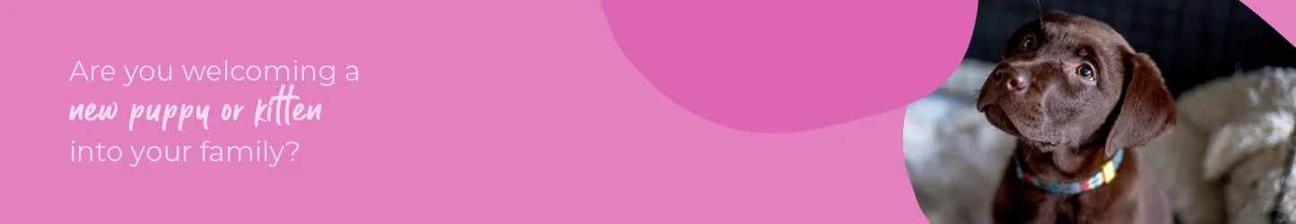 Welcoming your new puppy or kitten