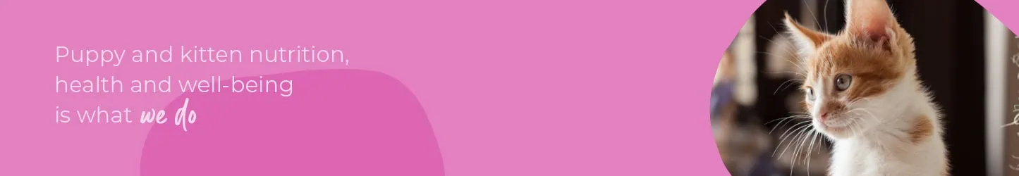 Welcoming your new puppy or kitten