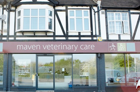 Maven veterinary care building