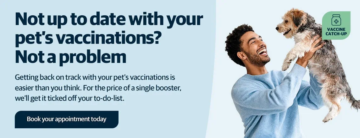Vets in Sutton | Vets Near Me | Maven Vets