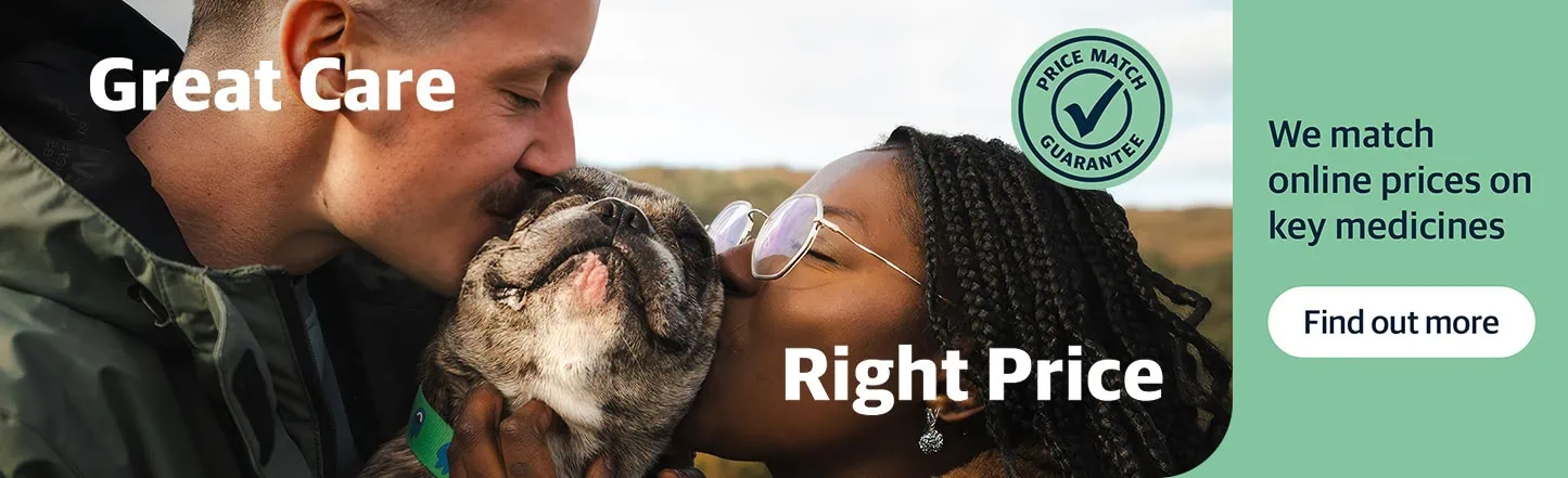 Vets in Sutton | Vets Near Me | Maven Vets