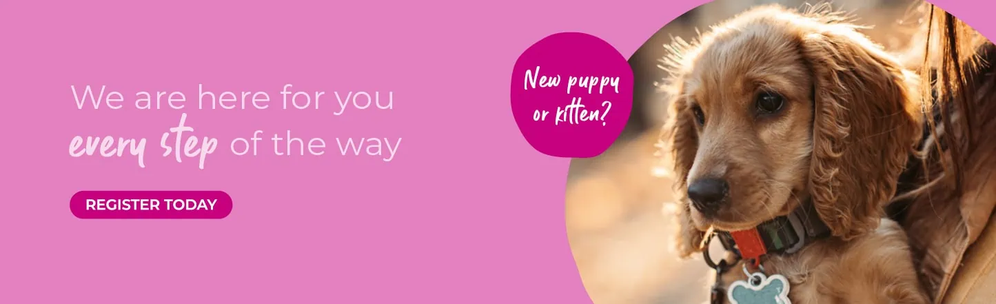 Vets in Sutton | Vets Near Me | Maven Vets